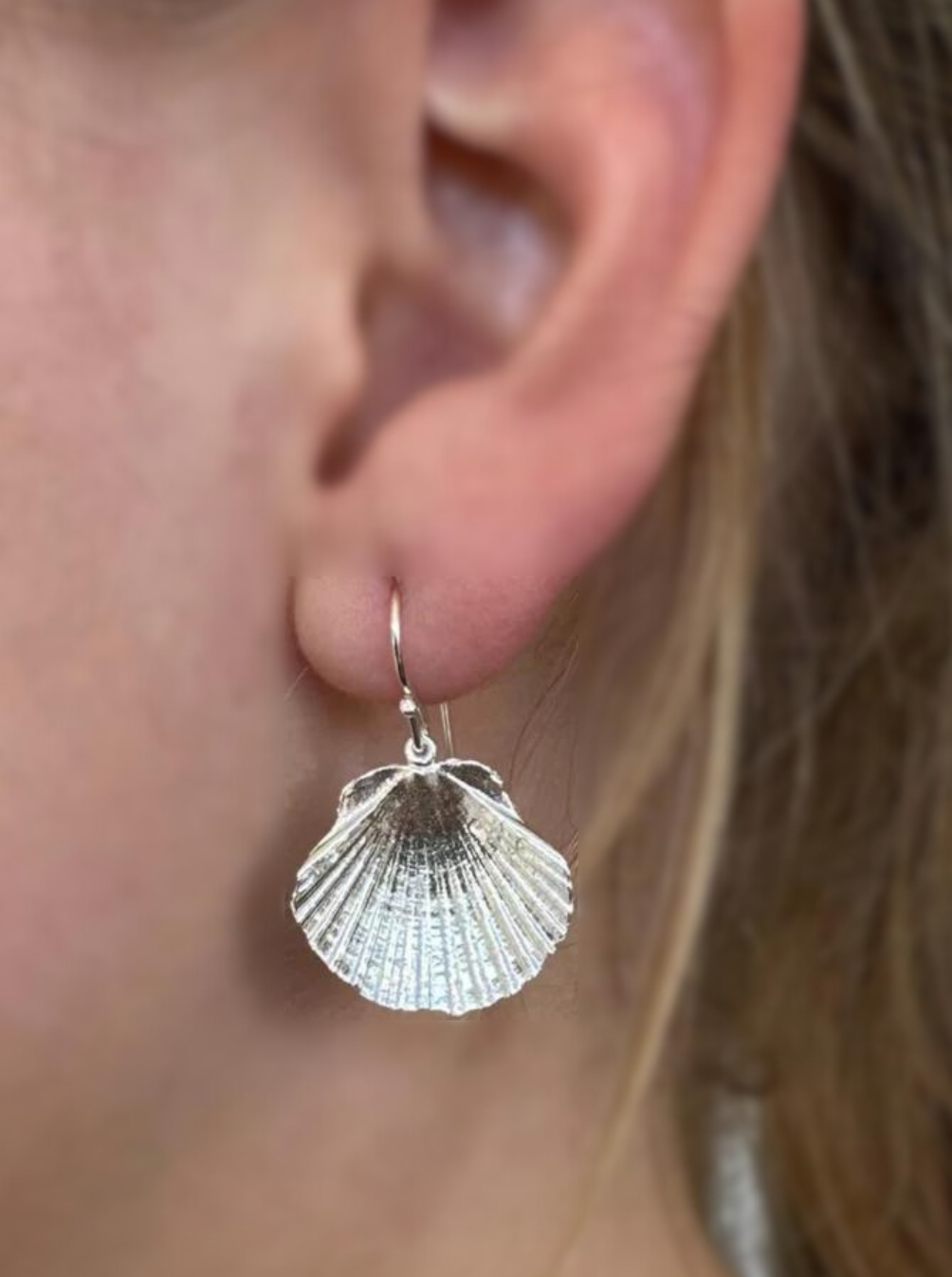 Coastal Fan Silver Seashell Earrings