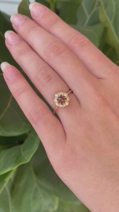 Arcadia Rosecut Sapphire and Diamond Ring