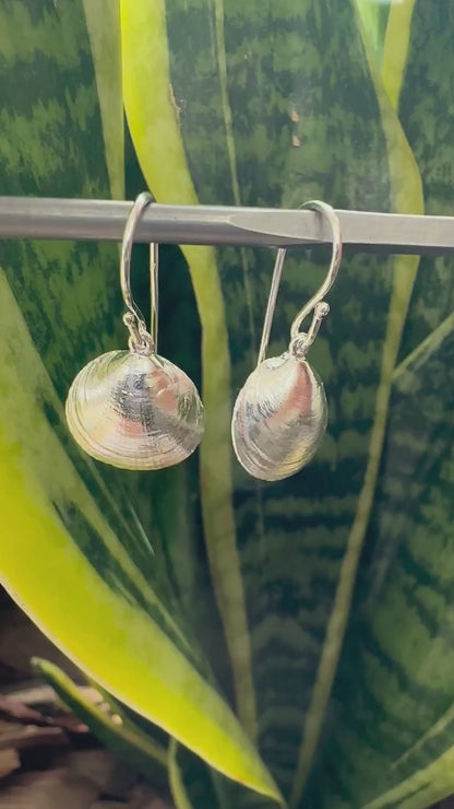 Coastal Weathered Silver Shell Earrings