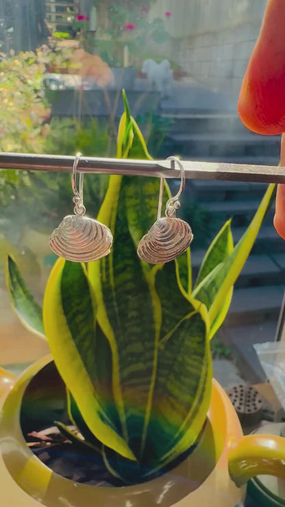 Coastal Silver Shell Drop Earrings Large