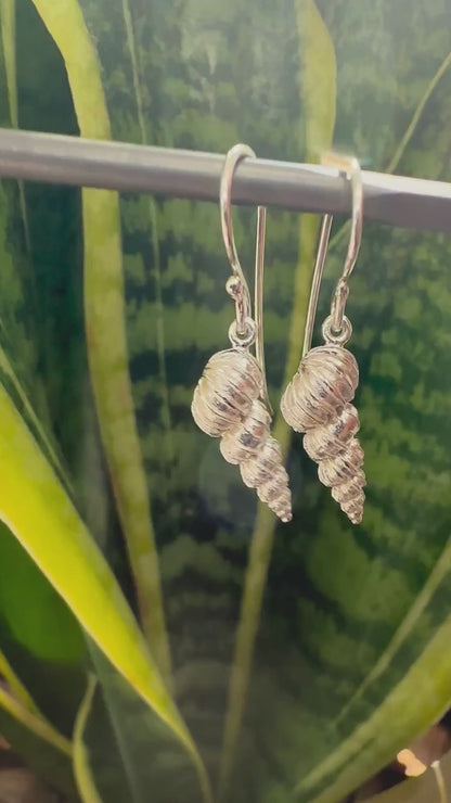 Twist Shell Silver Earrings