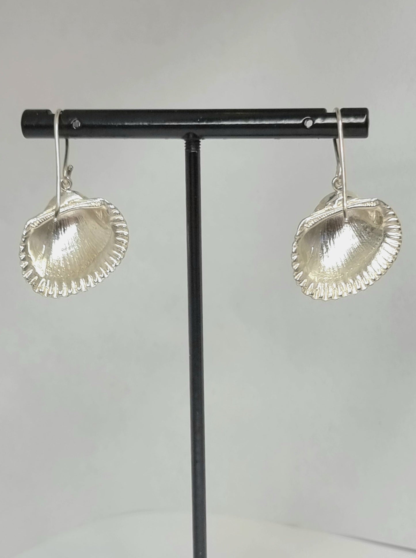 Stradbroke Coastal Shell Silver Earrings